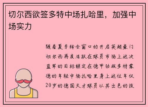 切尔西欲签多特中场扎哈里，加强中场实力