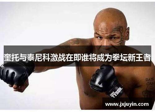 奎托与泰尼科激战在即谁将成为拳坛新王者