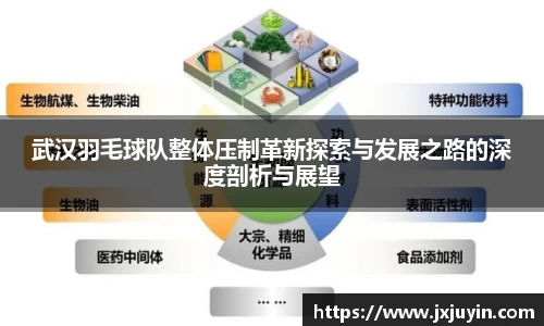 武汉羽毛球队整体压制革新探索与发展之路的深度剖析与展望